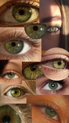 Most Beautiful Eye Color, Green Eyes Facts, Green Eyes And Brown Hair, Pretty Eyes Color, Rare Eye Colors, Emerald Green Eyes, Hazel Green Eyes, Eye Color Chart, Rare Eyes