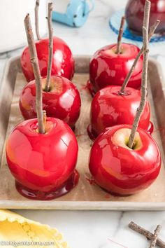 red apples are sitting on a tray with twig sticking out of them