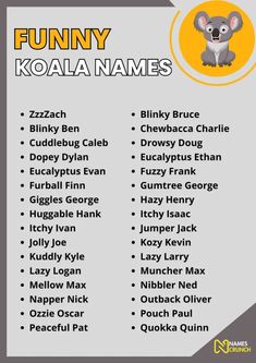 Funny Koala, Baby Koala, Writing Words, Story Writing, Name Ideas, Clever Ideas, Koala