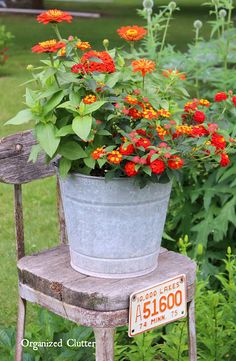 a potted plant sitting on top of a wooden chair next to a garden filled with flowers