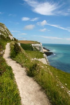 a path leading down to the ocean on a sunny day with blue skies and white clouds