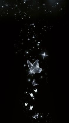 some white butterflies flying in the dark sky with stars on it's back ground