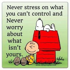 Snoopy … Peanut Quotes, Charlie Brown Cartoon, Peanuts Quotes, Brown Cartoon, Charlie Brown Quotes, Peanuts Characters, Snoopy Quotes, Charlie Brown And Snoopy, Amazing Quotes