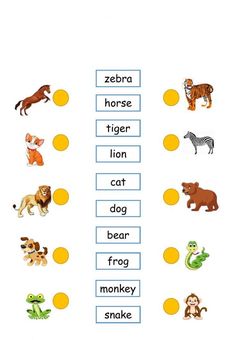 an animal word family worksheet for kids to learn the letter s and letters