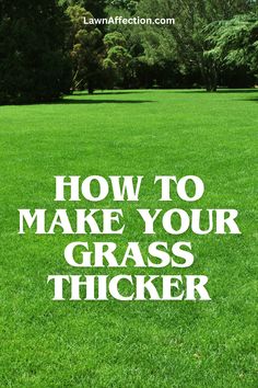 the words how to make your grass thicker are in white letters