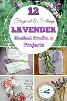 lavender flowers and lavender soaps are featured in this collage with the words lavender, lavender