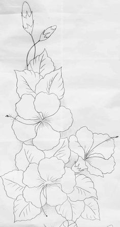 a drawing of some flowers on a piece of paper