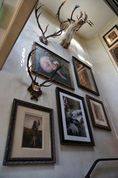 several framed pictures hang on the wall next to a deer's head and antlers