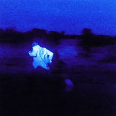 a blurry image of a person sitting in the grass at night with an animal projected on it's back