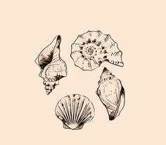 three seashells are shown on a beige background