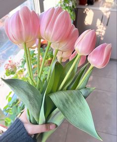 a person holding pink flowers in their hand