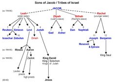 the tree of names in different languages, including english and hebrews with an arrow pointing to