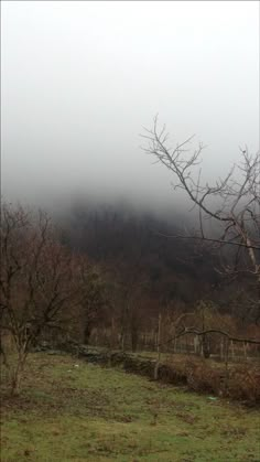 the fog is covering the mountains and trees