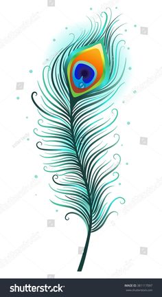 a peacock feather with blue and green feathers on white background stock photo edit to see more images