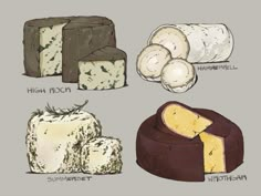 four different types of cheese are shown in this graphic art drawing style, with the words high noon written below them