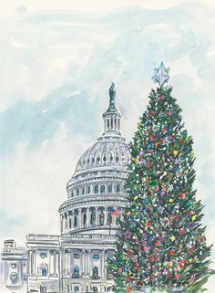 a christmas tree in front of the capitol building