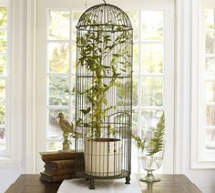 a birdcage filled with plants sitting on top of a table next to a window