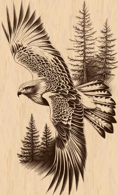 an eagle flying through the air with pine trees in the back ground and behind it