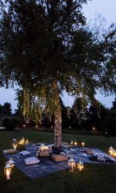 an instagram with candles and lights around a tree