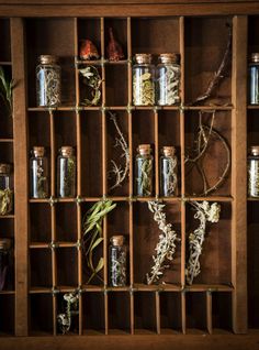 an old wooden shelf filled with jars and herbs