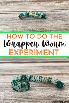 how to do the wrapper worm experiment with text overlay that reads, how to do the wrapper worm experiment