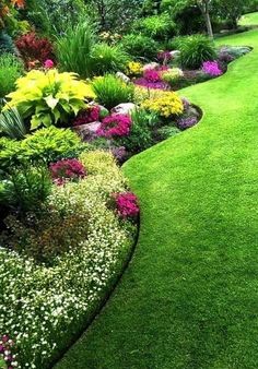 a garden filled with lots of different types of flowers