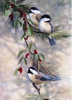 two birds are perched on the branches of a tree with berries and pine cones hanging from it