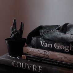 a stack of books sitting next to a cactus in a black pot on top of each other