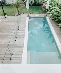 an empty swimming pool surrounded by greenery and umbrellas on the decking area