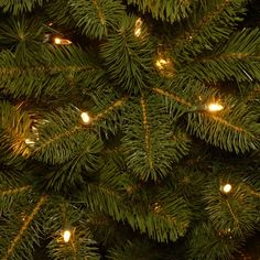 a close up view of the top of a christmas tree with lights on it's branches