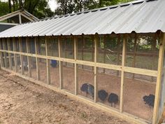 three black chickens in a chicken coop on the side of a building with a metal roof