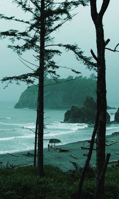 the beach is surrounded by tall trees and foggy skies, with people walking in the distance