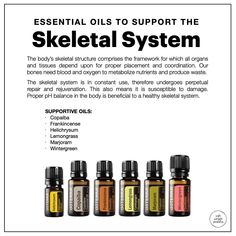 The Muscular System, Skeletal Structure, The Skeletal System, Doterra Oils Recipes, Eo Blends, Roller Blends, Doterra Oil, Essential Oil Combinations