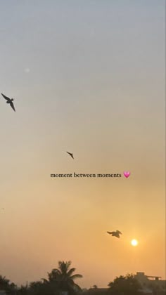 birds flying in the sky at sunset with a quote above it that reads, moment between moments