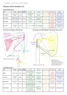 Physical Therapy Student, Medical Student Study, Medical School Studying