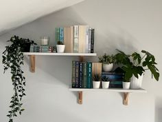 two white shelves with books and plants on them