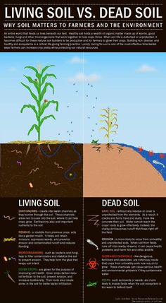 an info poster describing the different types of soil and how it is used to grow plants