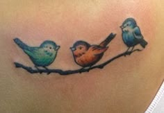 three little birds sitting on a branch tattoo