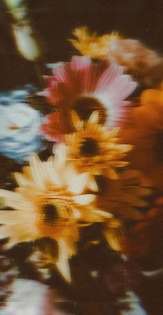 an image of flowers that are blurry in color