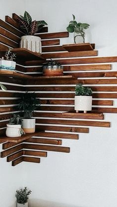 wooden shelves with plants and potted plants on them in the corner of a room