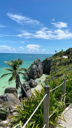 an ocean view with palm trees on the shore and clear blue water in the background