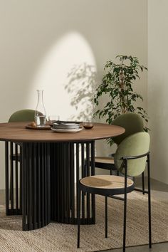 a round table with two chairs and a plant in the corner next to it on a rug