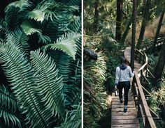 two people walking on a wooden bridge in the woods and one is carrying a backpack