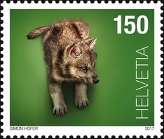 a postage stamp with an image of a wolf