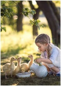 Baby Chicks Photography, Funny Pictures For Kids, Country Kids, 귀여운 동물, Animals Friends, Children Photography, Farm Life