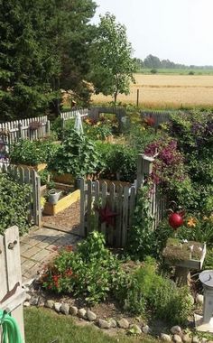 an outdoor garden with lots of plants and flowers in the center, surrounded by wooden fences