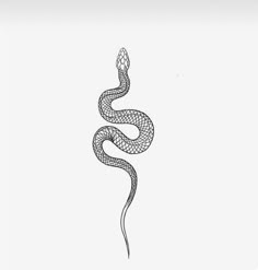 a black and white drawing of a snake