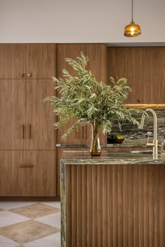 a kitchen with marble counter tops and wooden cabinets, along with a plant in a vase on the island