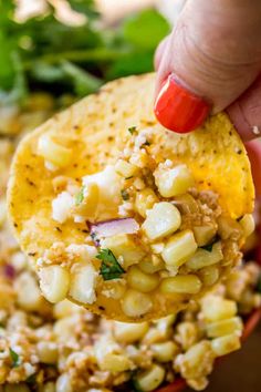 a hand holding a tortilla filled with corn and cheese, topped with cilantro