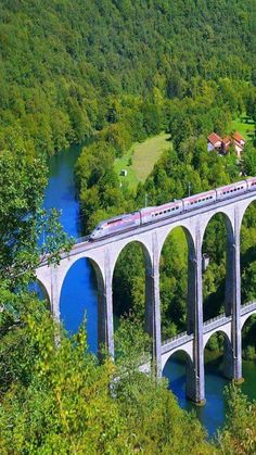 a train is crossing over a bridge in the middle of some trees and water with houses on either side